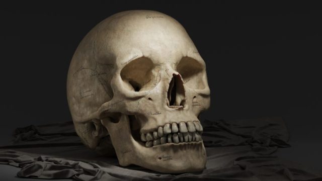 Ongekende vondst: 90 schedels uit de 17e eeuw gevonden in de schuur waar Don Quichot in 1605 werd gedrukt