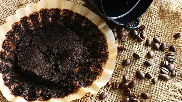 Koffiedik is een zeer problematisch afvalproduct, maar er is een oplossing om te voorkomen dat het op de vuilstort terechtkomt: het omzetten in beton.